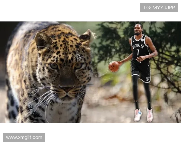 湖人迎战太阳强强对决詹姆斯与杜兰特巅峰较量引爆全场焦点