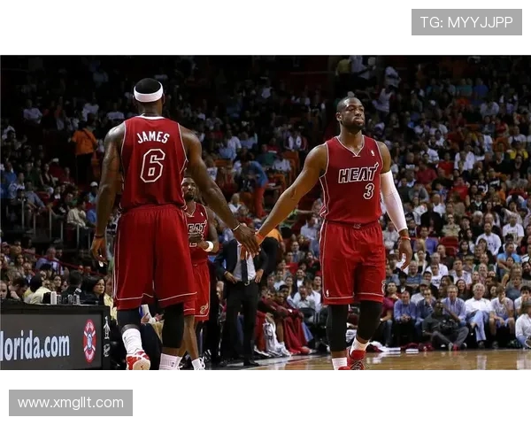 德维恩韦德篮球生涯高光时刻与荣耀背后的奋斗故事