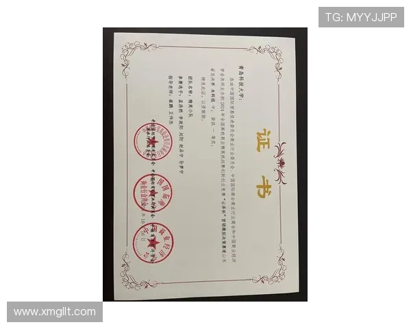 衡阳足球队崛起之路：从地方小队到全国强队的奋斗历程与挑战