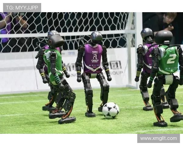 足球魅力无穷全球赛场精彩纷呈探秘足球背后的文化与历史