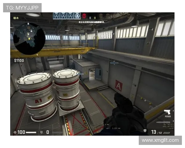 CSGO战术解析：深入剖析WE战队的进攻策略与执行细节