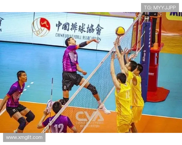 上海排球队转型之路揭秘大师赛特别报道展现新风貌与挑战