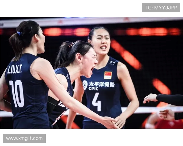 南京排球队实力对比深度解析与未来发展展望