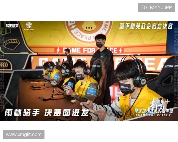 和平精英赛事分析：IG战队排名第八的背后故事与经验分享