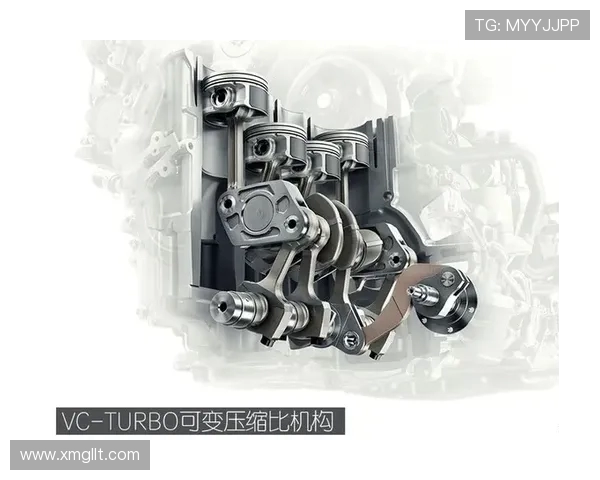 成都极限运动队的技术探讨与发展前景分析