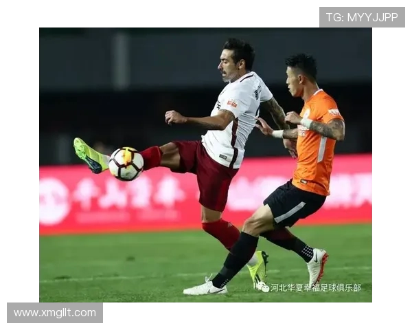 杨丽独家分享羽毛球技巧与心得体会助你提升竞技水平