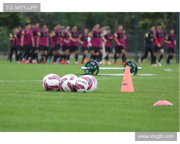 武汉羽毛球队进攻革新之路探索与实践解析