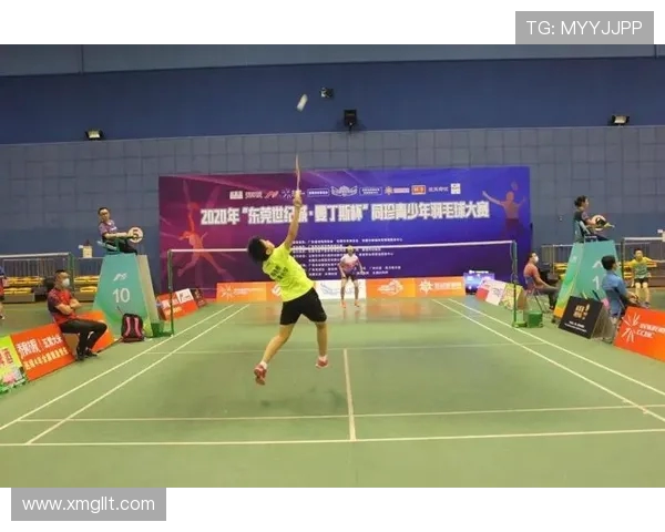 羽毛球的蜕变与成长：北京羽毛球队转型之路的真实记录与反思