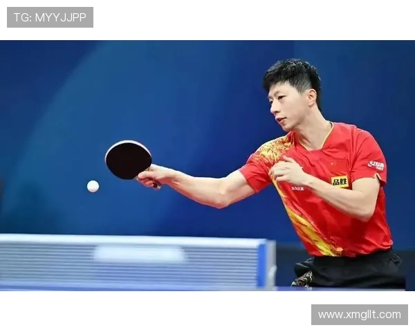 乒乓球运动的魅力与技术进步:从发球到接球的全面解析